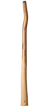 Wix Stix Didgeridoo (WS335)